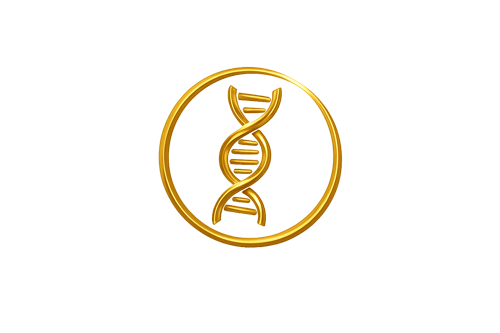 adn